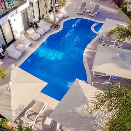 Absolute Hotel 4*